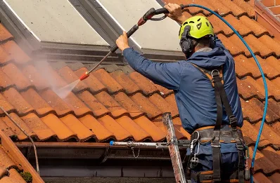 Démoussage et hydrofuge de toiture à Lusigny